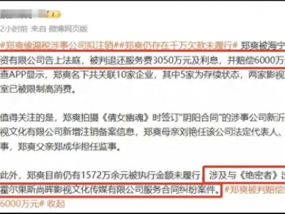 爽子上亿债务不还，在丑国当人上人