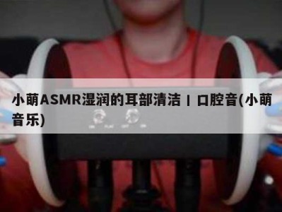 小萌ASMR湿润的耳部清洁丨口腔音(小萌音乐)