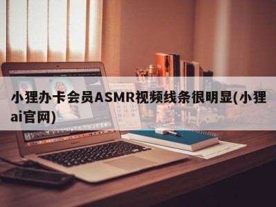 小狸办卡会员ASMR视频线条很明显(小狸ai官网)