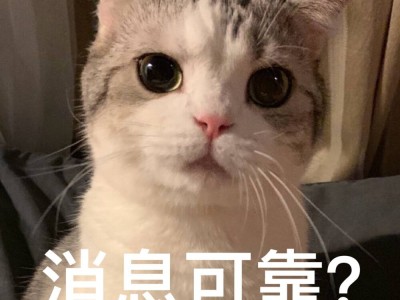 Ni的猫猫 你们的猫咪都叫什么名字