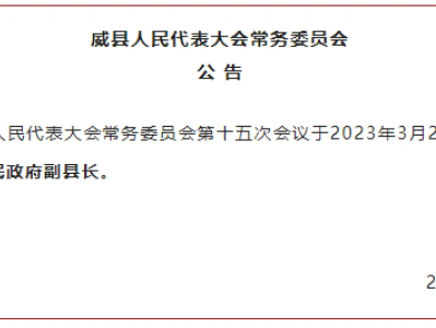 “在职短命”90后副县长，被任命后疑无“名分”，至今仍是谜团