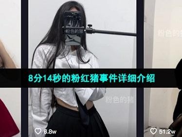 网传抖音粉色的猪视频资源圈子事件，看看这瓜真不真！