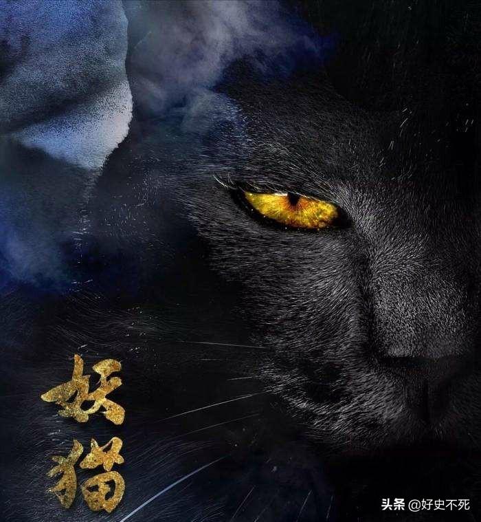 相扑猫微密圈_相扑猫黑历史_相扑猫以前的视频