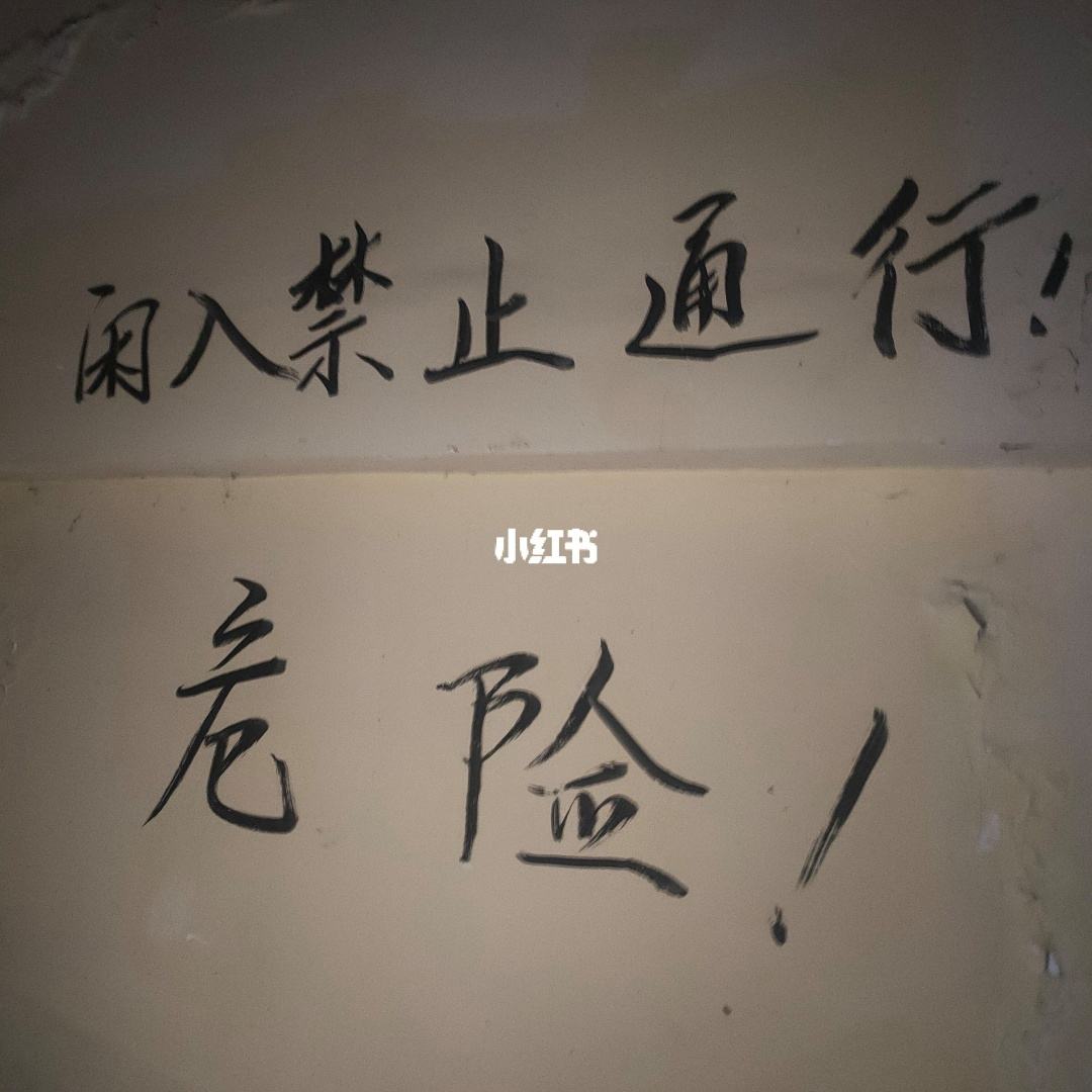 别管我了 瓦龙出狱之后海棠别管我了